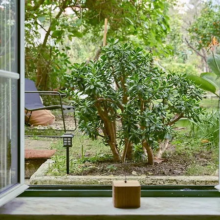 Garden Paradise - New